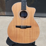 Taylor 214CE-N Nylon Rosewood Back and Sides, with Bag