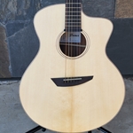 Used Ibanez PA300ENSL Acoustic Electric with Gigbag