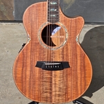 Cole Clark AN3EC All Blackwood Ebony