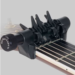 Spider Capo