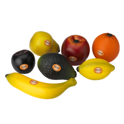 Remo Fruit Shaker